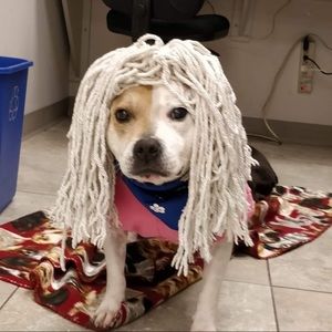 Meet your Posher, Breanne